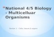 National 4/5 Biology -  Multicelluar  Organisms