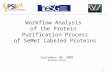Workflow Analysis  of the Protein  Purification Process of SeMet Labeled Proteins