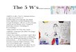 The 5 W’s