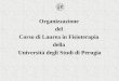 Organizzazione  del  Corso di Laurea in Fisioterapia  della  Università degli Studi di Perugia