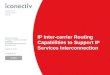 IP Inter-carrier Routing  Capabilities to Support IP Services Interconnection