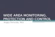 WIDE AREA MONITORING, PROTECTION AND CONTROL