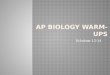 AP Biology Warm-ups