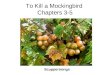 To Kill a Mockingbird Chapters 3-5