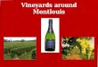 Vineyards around Montlouis