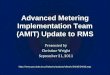 Advanced Metering Implementation Team (AMIT) Update to RMS