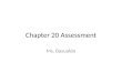Chapter 20 Assessment