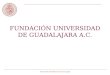 FUNDACIÓN UNIVERSIDAD DE GUADALAJARA A.C