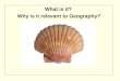 What is it?  Why is it relevant to Geography?