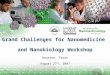 Grand Challenges for Nanomedicine  and Nanobiology Workshop Houston, Texas August 27 th , 2007
