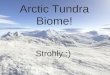 Arctic Tundra Biome!