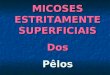 MICOSES ESTRITAMENTE SUPERFICIAIS Dos Pêlos