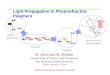 Light Propagation in Photorefractive Polymers