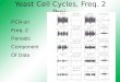 Yeast Cell Cycles, Freq. 2 Proj