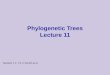 Phylogenetic Trees Lecture 11