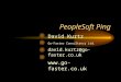 PeopleSoft Ping