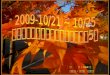 2009-10/21 ~ 10/25 日本紅葉百選、奧之細道、彩楓東北 5 日