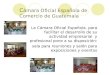 C ámara Oficial Española de Comercio de Guatemala