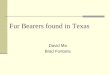 Fur Bearers found in Texas