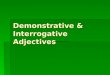 Demonstrative & Interrogative Adjectives