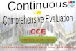 Comprehensive Evaluation
