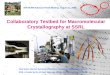 Collaboratory Testbed for Macromolecular Crystallography at SSRL
