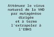 Atténuer le virus naturel de la VHD par mutagénèse dirigée et à terme l'extrapoler à l'EBHS