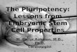The  Pluripotency :  Lessons  from Embryonic Stem Cell Properties