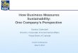 How Business Measures Sustainability: One Company’s Perspective