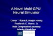 A Novel Multi-GPU  Neural Simulator