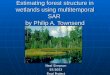 Estimating forest structure in wetlands using multitemporal SAR  by Philip A. Townsend
