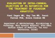 Evaluation of Intra-corneal Injection of 5%  Natamycin  for the Treatment of  Fusarium Keratitis