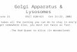 Golgi Apparatus & Lysosomes