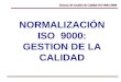 NORMALIZACIÓN ISO  9000: GESTION DE LA CALIDAD