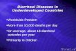 Diarrheal Diseases in Underdeveloped Countries