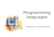 Programming  languages