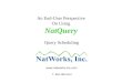 An End-User Perspective On Using NatQuery  Query Scheduling