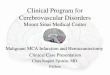 Clinical Program for Cerebrovascular Disorders Mount Sinai Medical Center