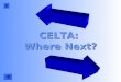 CELTA:  Where Next?