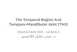 The Temporal Region And Temporo -Mandibular Joint (TMJ)