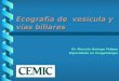 Ecografía de  vesícula y vías biliares