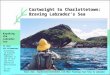 Cartwright to Charlottetown:  Braving Labrador’s Sea