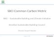 SBCI Common Carbon Metric