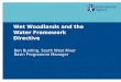Wet Woodlands and the Water Framework Directive