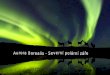 Aurora Borealis - Severní polární záře