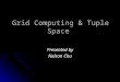 Grid Computing & Tuple Space