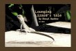 Lounging  Lizard’s  tale by  Sheryl  Gwyther   (c) 2011