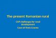 The present Romanian rural