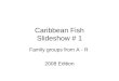 Caribbean Fish Slideshow # 1