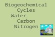 Biogeochemical Cycles Water      Carbon Nitrogen